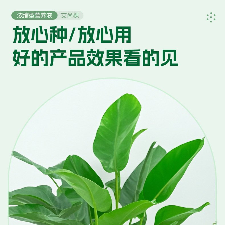 天堂鸟专用植物浓缩营养液花卉绿植庭院大盆栽客厅肥料HB46
