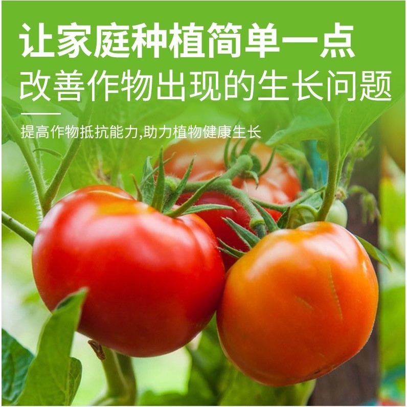 园艺植物浓缩海藻肥盆栽绿植花卉水溶肥发财树绿萝叶面肥料HB92