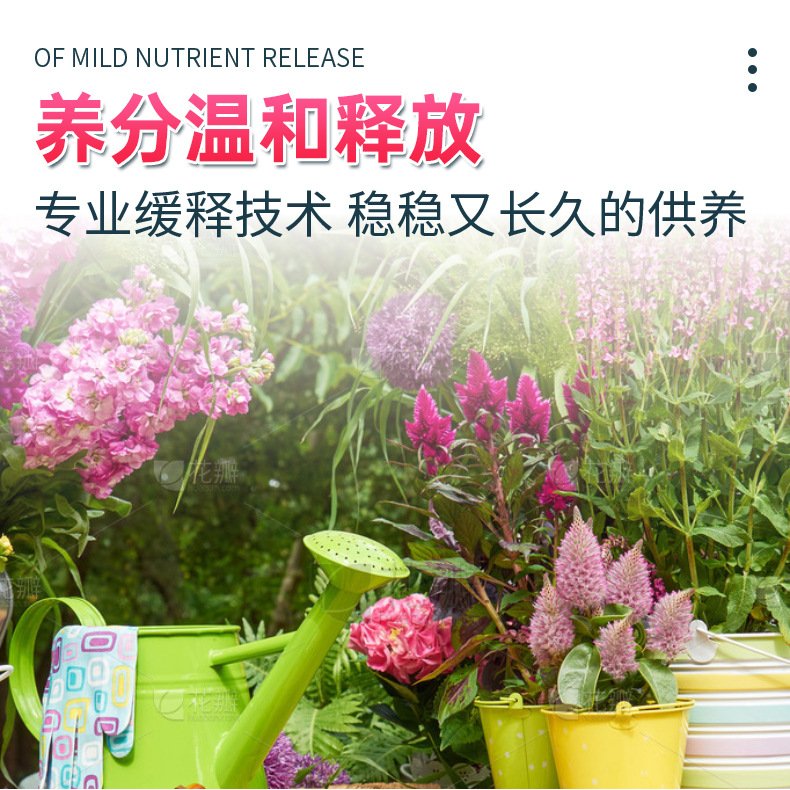 植物缓释营养棒绿植盆栽花卉月季兰花花肥栀子花开花神器HB58