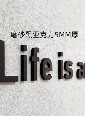 哑光磨砂黑色字亚克力广告字定制立体字贴背景墙logo牌字公司名称