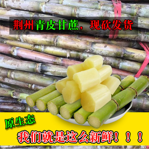 5整根发货青皮甘蔗新鲜绿皮榨汁多汁当季水果陶山甘蔗品种荆州