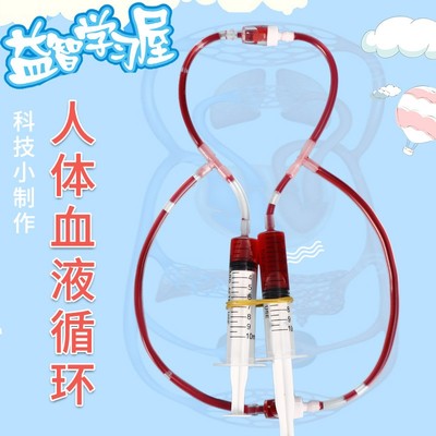 人体心脏血液循环模型初中生物制作材料小学科学社团diy体肺循环