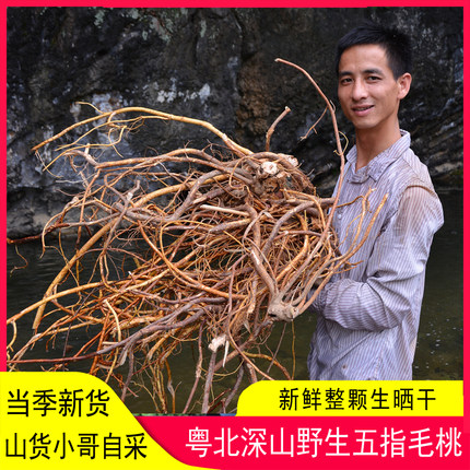 五指毛桃根干野生无硫500g土茯苓牛大力广东煲汤材料泡酒自晒新货