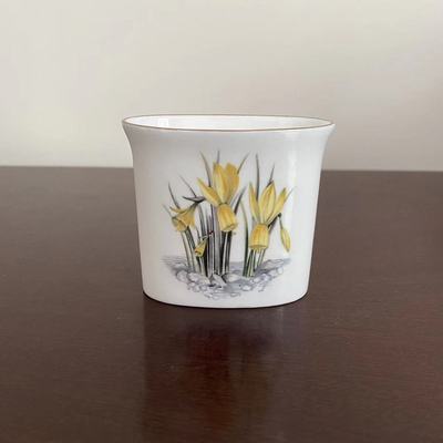 Royal Worcester皇家伍斯特 英国中古骨瓷牙签盒 Vintage摆件瓷罐