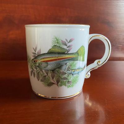 Foley 弗利 Shelley 雪莱前身 描金热带鱼马克瓷杯 Antique收藏杯