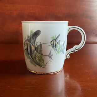 Foley 弗利 Shelley雪莱前身 Vintage稀有描金马克瓷杯收藏装饰杯