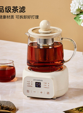 HYUNDAI全玻璃养生壶BG-YSB201小型办公室宿舍电热水杯煮花茶0.5L