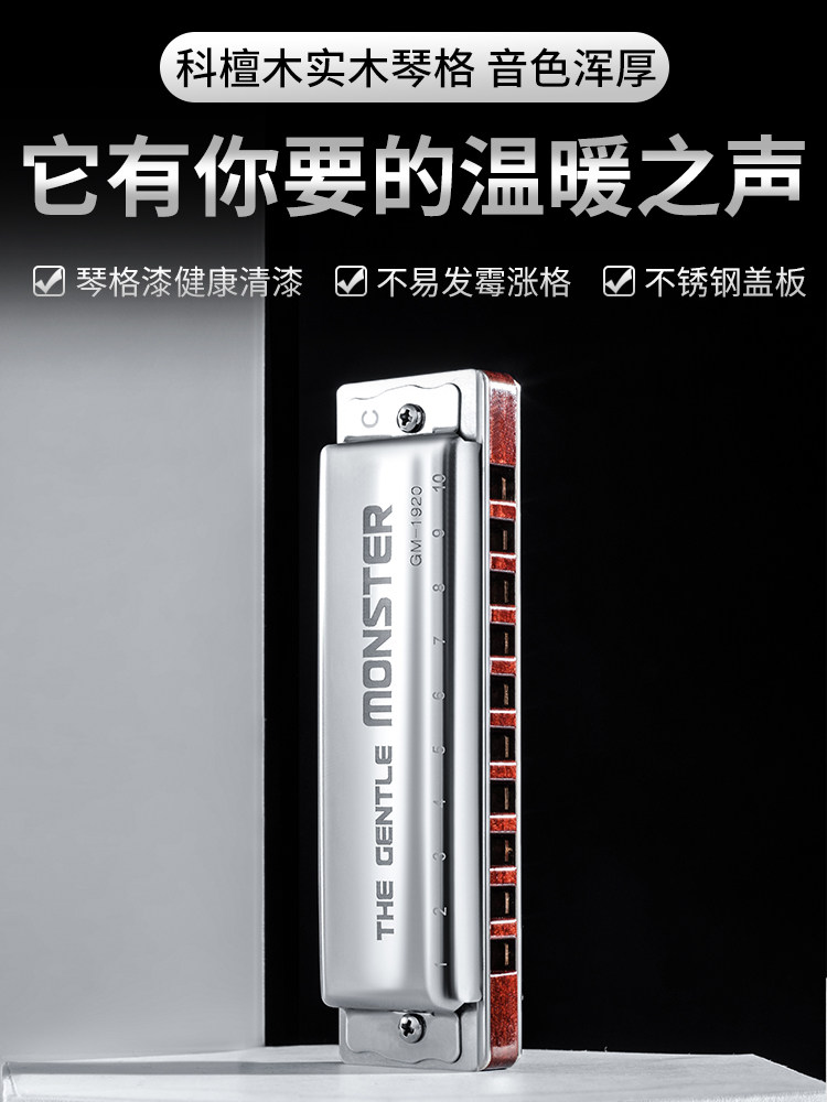 jdr嘉德瑞布鲁斯口琴十孔蓝调gm-1920专业演奏级旗舰店paddy音阶