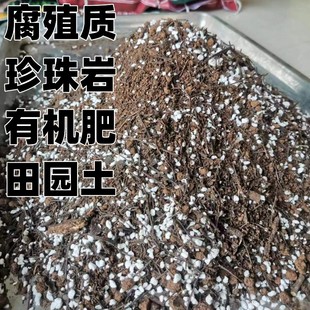 发酵松针腐殖质有机营养土瓜果蔬菜花卉育苗家庭园艺种植育苗土