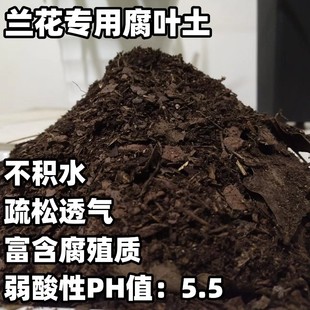 兰花专用腐叶土兰花种植专用土疏松透气兰花植料弱酸性腐殖松针土