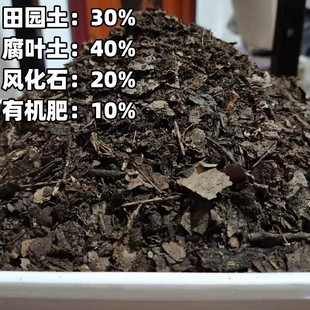 茶花专用有机营养土疏松透气纯天然腐叶发酵橡树叶有机酸性腐殖质