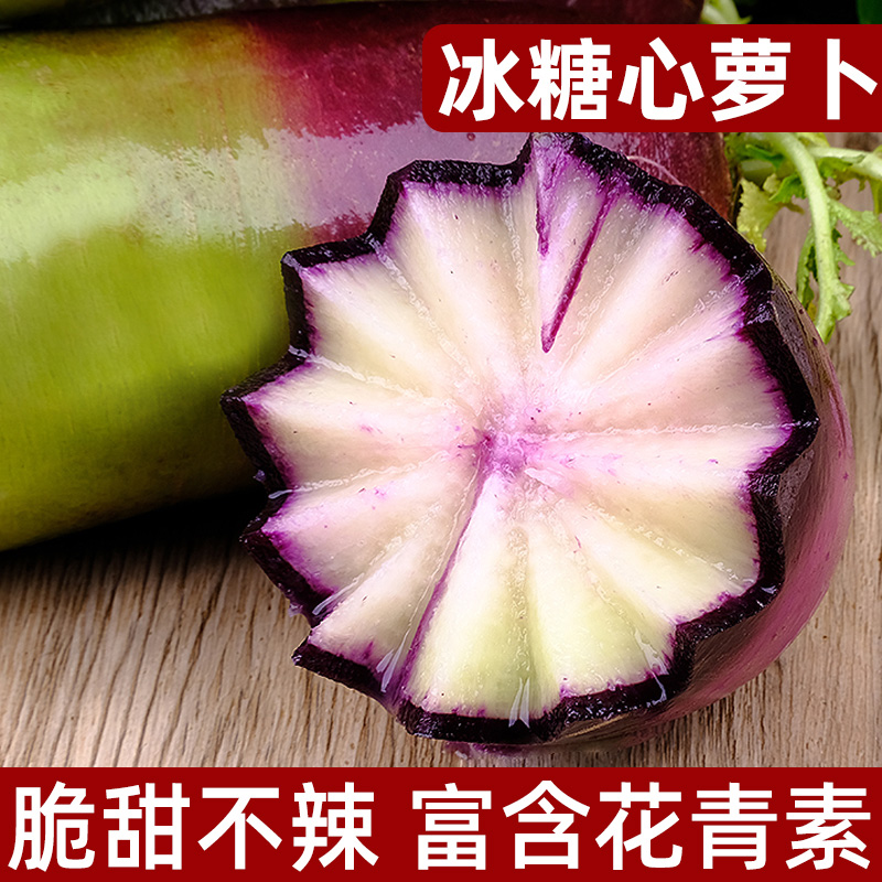 冰糖心水果萝卜冰激凌红萝卜10斤组合甜脆水果型凤梨萝卜潍坊生吃