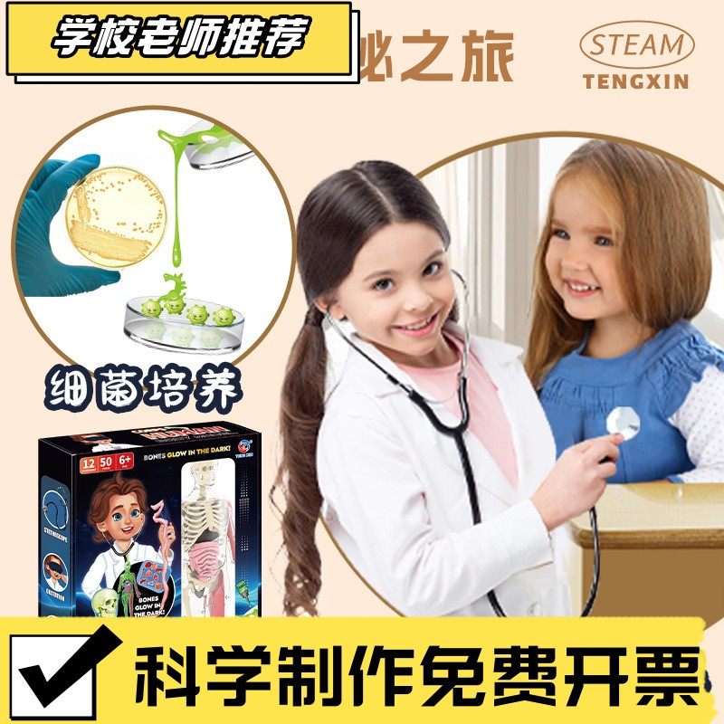 夜光人体模型套装人体结构骨骼器官解剖医学早教儿童益智玩具CX62