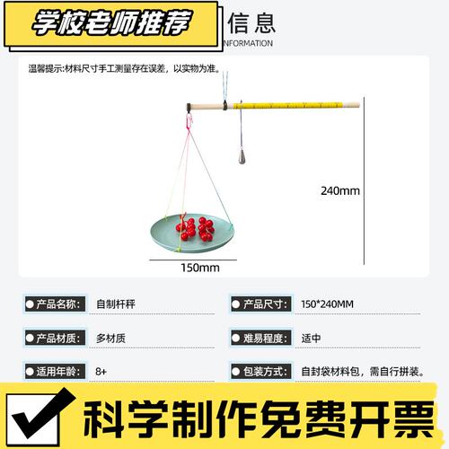 物理小发明DIY自制杆秤 学生科学实验器材科 儿童小制作教具材R79