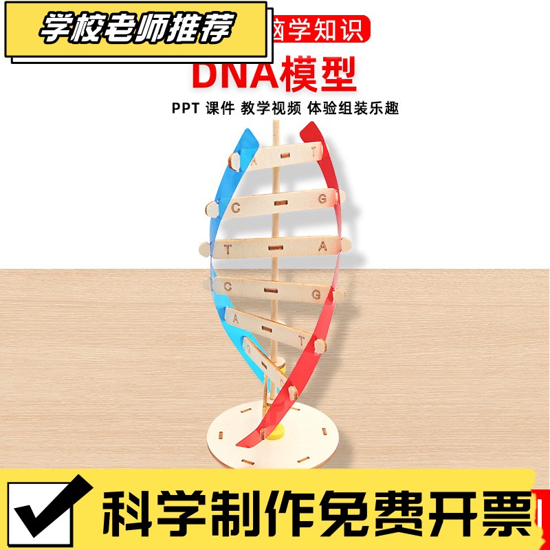 滚珠轨道积木玩具过山车手工diy立体拼图3d弹珠木质学生益智玩具