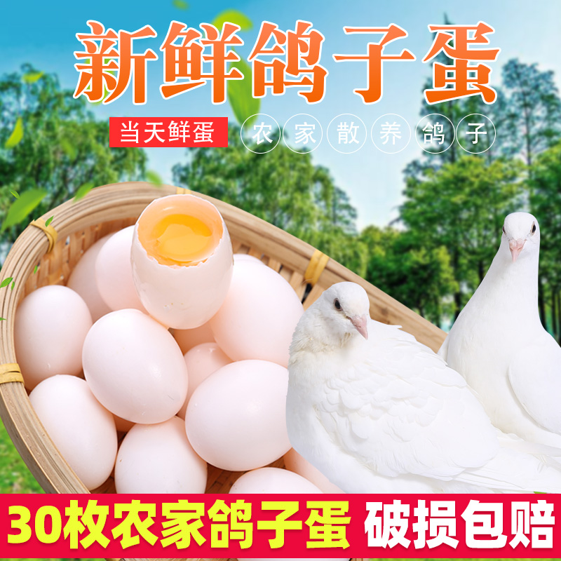 无抗养殖健康【30枚新鲜鸽子蛋】产后术后孕妇宝宝儿童营养白鸽蛋