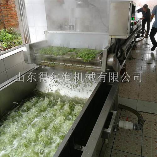 DR-400型青刀豆气泡清洗机 速冻青刀豆毛豆荚漂烫生产线