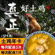 原耕良仓正宗散养土鸡走地鸡现杀月子鸡土母鸡套餐24只鸡按月配送