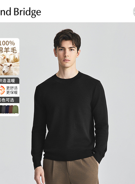 Mind Bridge【绵羊毛】男士半高领毛衣冬季羊毛衫2025新款针织衫