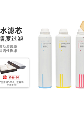 科勒思丹滤芯净水器净饮机反渗透耗材净味活性炭配件80031/78435T