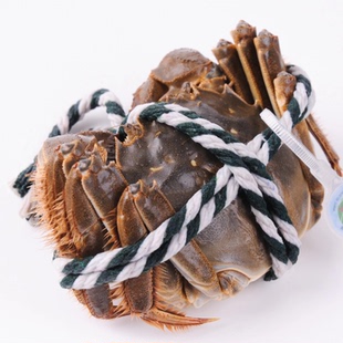 活蟹清水公4.7 5.0两3斤6只现货大闸蟹鲜活螃蟹断腿