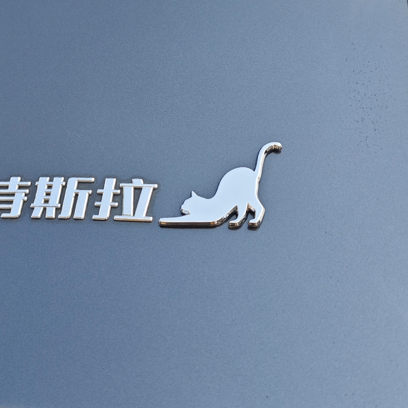 特斯拉model3/Y金属车贴创意猫咪图片