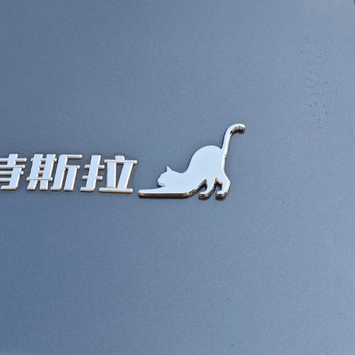 特斯拉model3/Y金属车贴创意猫咪