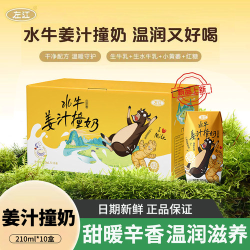 左江水牛姜汁撞奶210ml*10盒古法红糖水学生女性营养早餐牛奶饮品