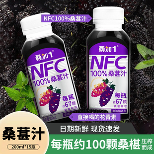 桑加1农科宝桑葚果汁纯果蔬不加水NFC纯原椹整箱礼盒装饮料原浆液