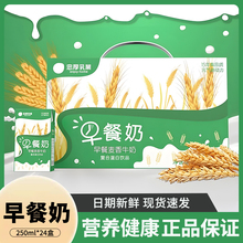 年货礼盒忠厚麦香早餐奶250ml*24盒学生老人营养牛奶饮品整箱装