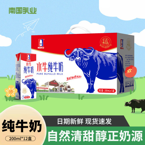 南国乳业水牛纯牛奶4.0蛋白整箱