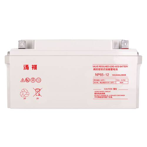 汤祺蓄电池NP65-12机房UPS/EPS安防12V65Ah直流屏消防主机通讯