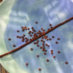 天然红石切面扁珠2*4mm散珠手工diy串珠手链项链饰品配件S389