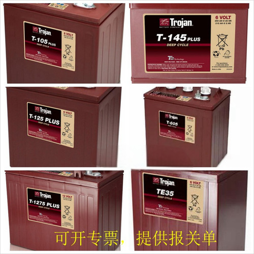 蓄电池铅酸Trojan升降车观光车