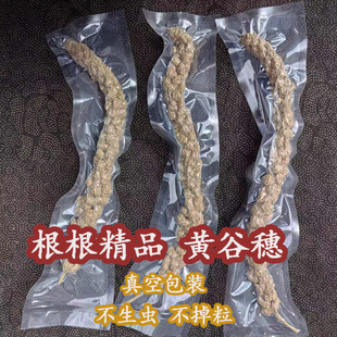 根根精品新大黄谷穗真空包装小鸟鹦鹉仓鼠零食小米穗造景装饰摄影