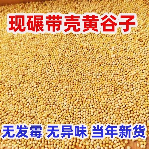 带壳黄谷子小米鹦鹉专用鸟粮