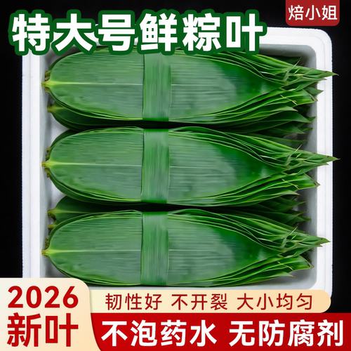 焙小姐特大号新鲜粽叶子不泡药水