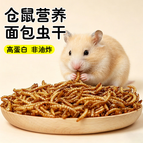 朵冠仓鼠金丝熊面包虫干