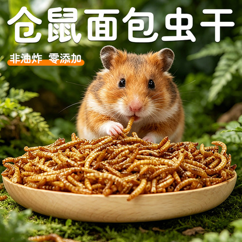 朵冠仓鼠金丝熊面包虫干