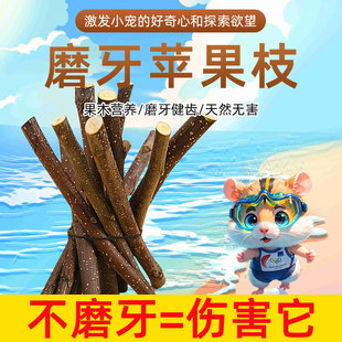 【直播】苹果枝龙猫仓鼠豚鼠荷兰猪兔子用品磨牙棒苹果木树枝