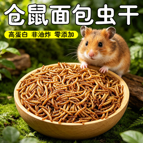 朵冠面包虫干仓鼠金丝熊