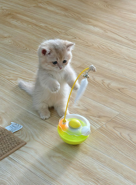 自嗨解闷不倒翁逗猫棒