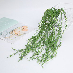 仿真植物假花绿植盆栽墙面壁挂装 饰绿植藤条塑料多肉植物情人泪