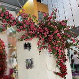 Смоделированные цветы японское вишневое дерево