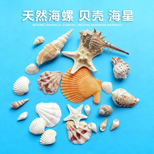 贝壳碎片不规则颗粒DIY手工 自制创作材料螺钿马赛克彩色异形装饰