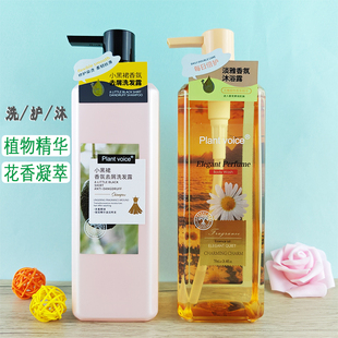 植物语录洗发水沐浴露护发素小黑裙小苍兰香氛老姜王去屑修护留香
