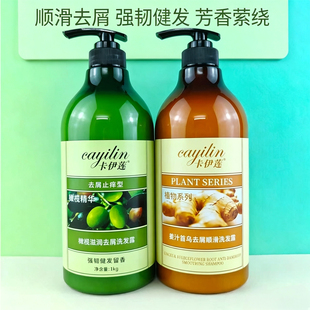 卡伊莲洗发水姜汁首乌橄榄露滋润去屑止痒改善干枯毛糙分叉护发素