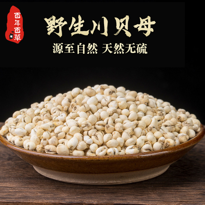 川贝母中药材四川阿坝正宗野生川贝母打粉老陈皮正品无硫品质贝母