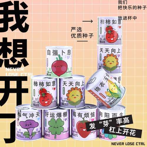 儿童迷你盆栽活动罐头花盆栽