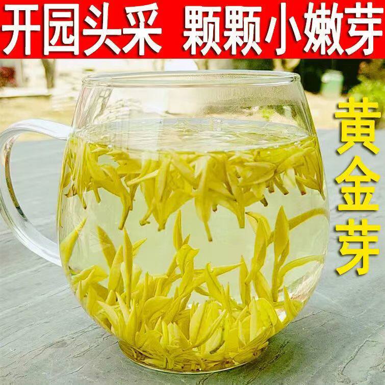 2026年新茶正宗安吉高山特级头采黄金芽罐装礼盒装黄茶